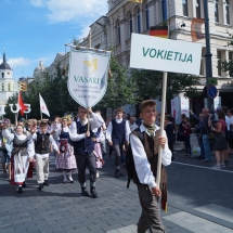 Gimnazijos atstovai Lietuvos šimtmečio Dainų šventėje (Foto: D. Šulcas ir A. Ručienė)