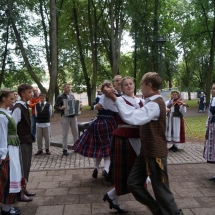 Gimnazijos atstovai Lietuvos šimtmečio Dainų šventėje (Foto: D. Šulcas ir A. Ručienė)