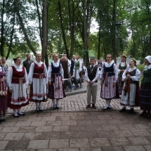 Gimnazijos atstovai Lietuvos šimtmečio Dainų šventėje (Foto: D. Šulcas ir A. Ručienė)