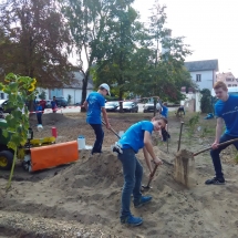 Savanorystės diena, 2018 (Foto: M. D. Schmidt)