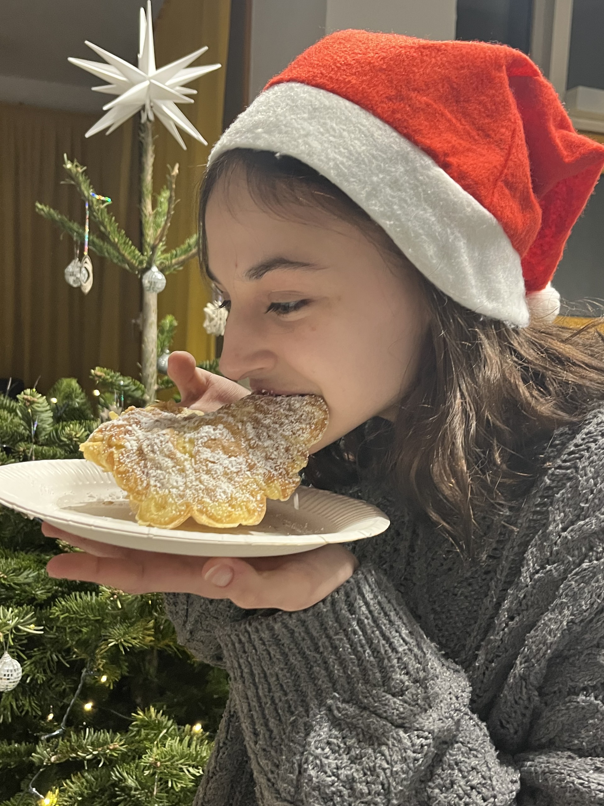 Advento išvakarėse bendrabutyje nušvito eglutė