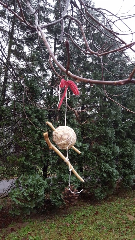 Vogelfutter im Baum (Foto: Dr.A.Weber)