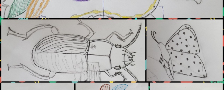 Künstlerische Wiederholung zum  biologischen Thema „Insekten und Spinnen“