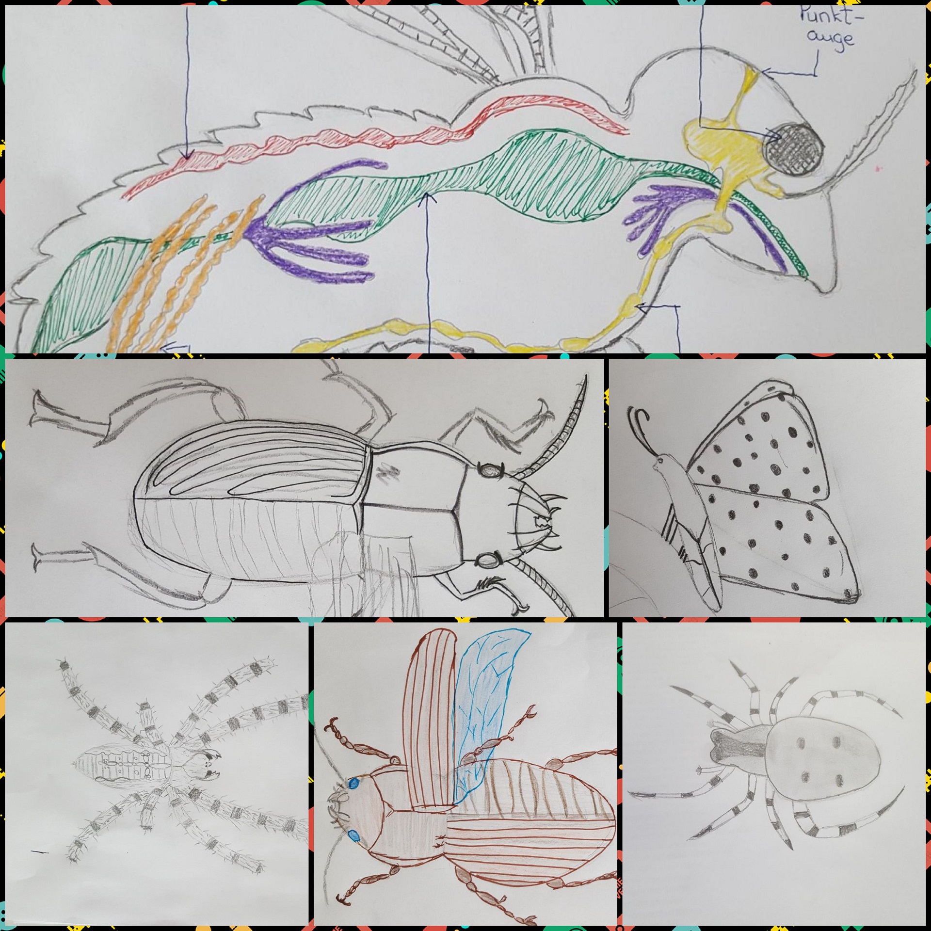 Künstlerische Wiederholung zum  biologischen Thema „Insekten und Spinnen“