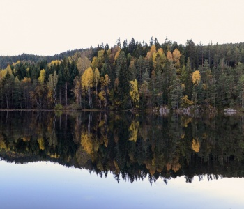 Fotografijos konkursas „Metų laikai“