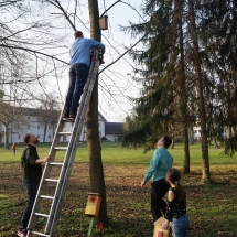 Paukščių sutiktuvės (Foto: D. Kriščiūnienė, M. D. Schmidt)