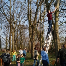 Paukščių sutiktuvės (Foto: D. Kriščiūnienė, M. D. Schmidt)