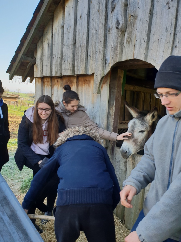 Piligriminė kelionė į Belgiją (Foto: D. Kriščiūnienė, dr. V. Grigutis)