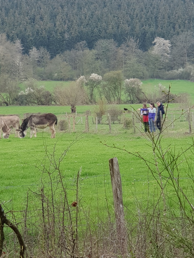 Piligriminė kelionė į Belgiją (Foto: D. Kriščiūnienė, dr. V. Grigutis)