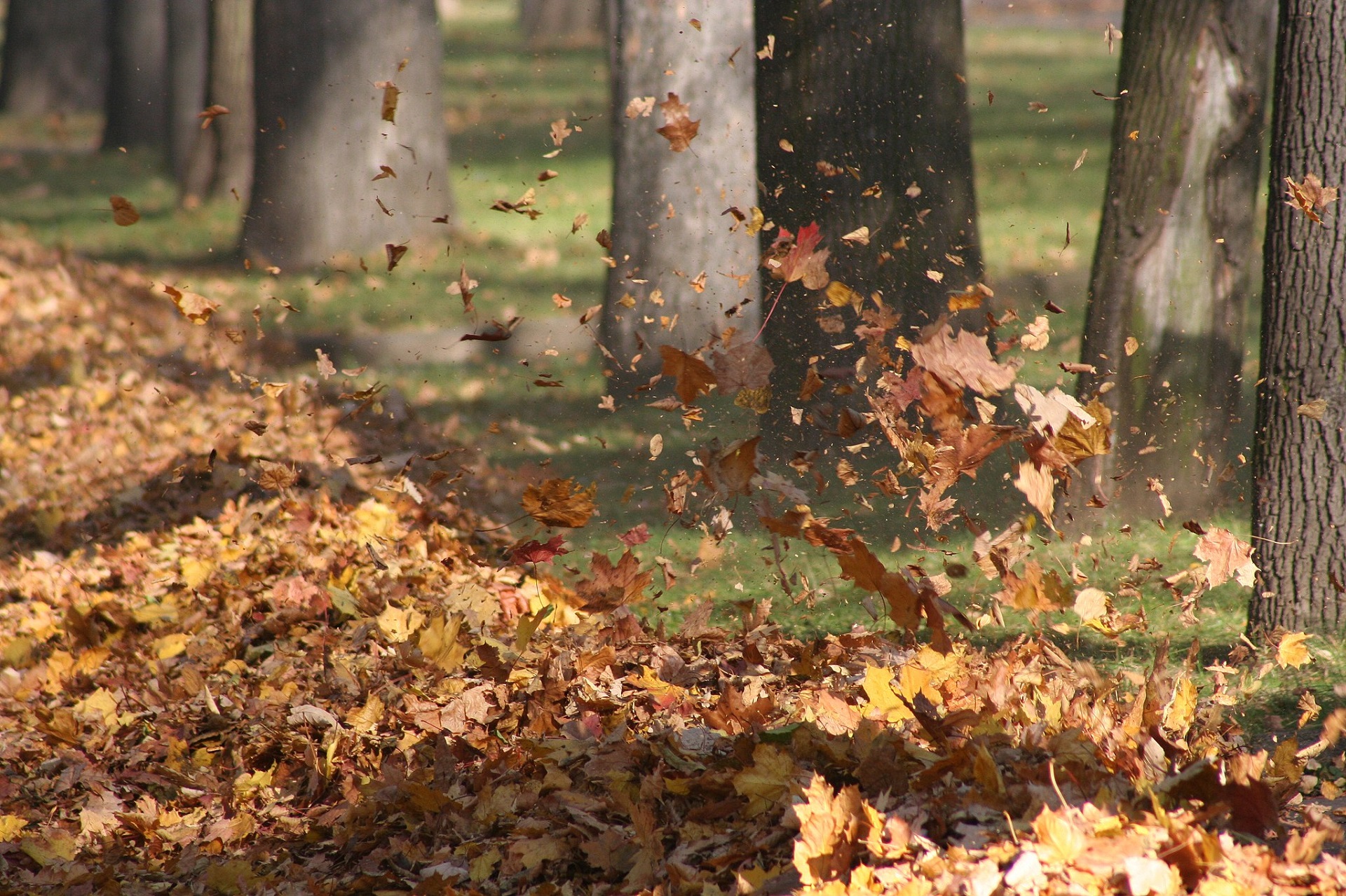 Gute Herbstferien!