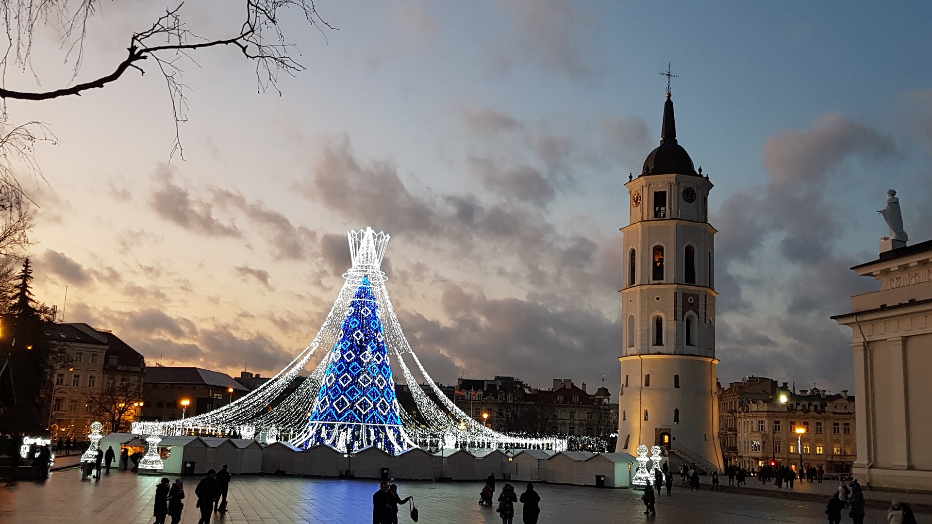 Renginys „Metų paskaita lituanistui“ (Foto: A. D'Elia)