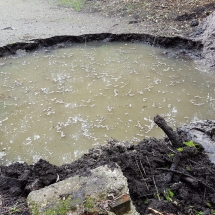 Baggeraktion für den Teich (Foto: Dr. A. Weber)