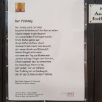 Schülerin der 6. Klasse präsentiert ihr Frühlingsgedicht