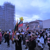 Palaikymo akcija Ukrainai Mannheime (Foto: I.G.Lendraitienė, M.D.Schmidt)