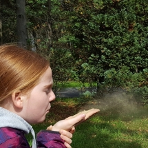 Schulgartenaktivitäten im Spätsommer und Herbst 2022 (Foto: Dr. A. Weber)