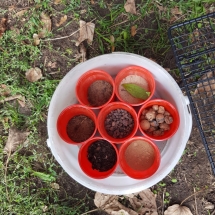 Schulgartenaktivitäten im Spätsommer und Herbst 2022 (Foto: Dr. A. Weber)