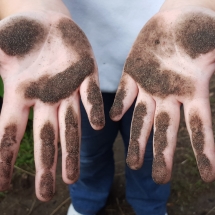 Schulgartenaktivitäten im Spätsommer und Herbst 2022 (Foto: Dr. A. Weber)