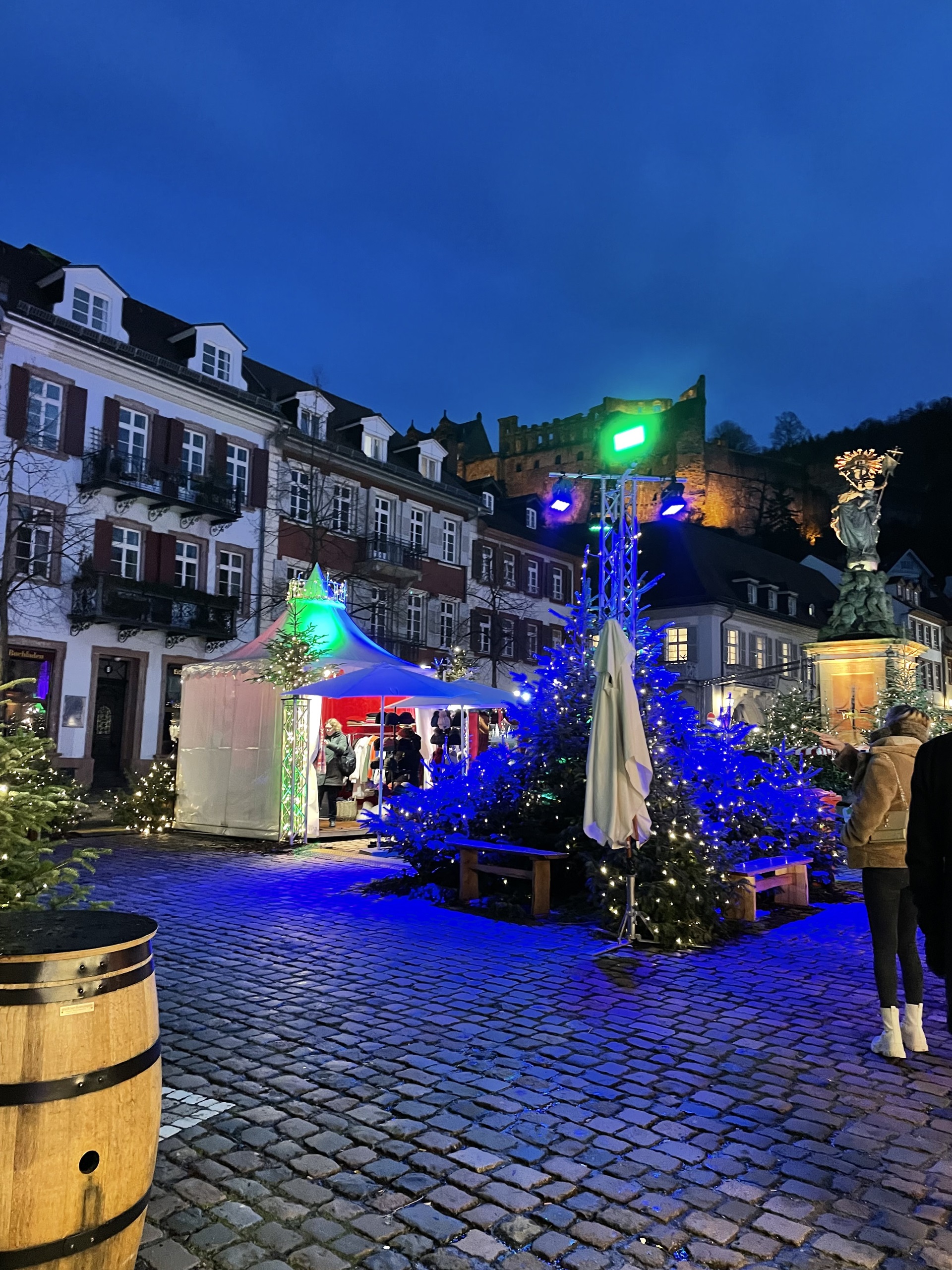 Katalikiško jaunimo grupės išvyka į Heidelbergą (Foto: D. Kriščiūnienė)