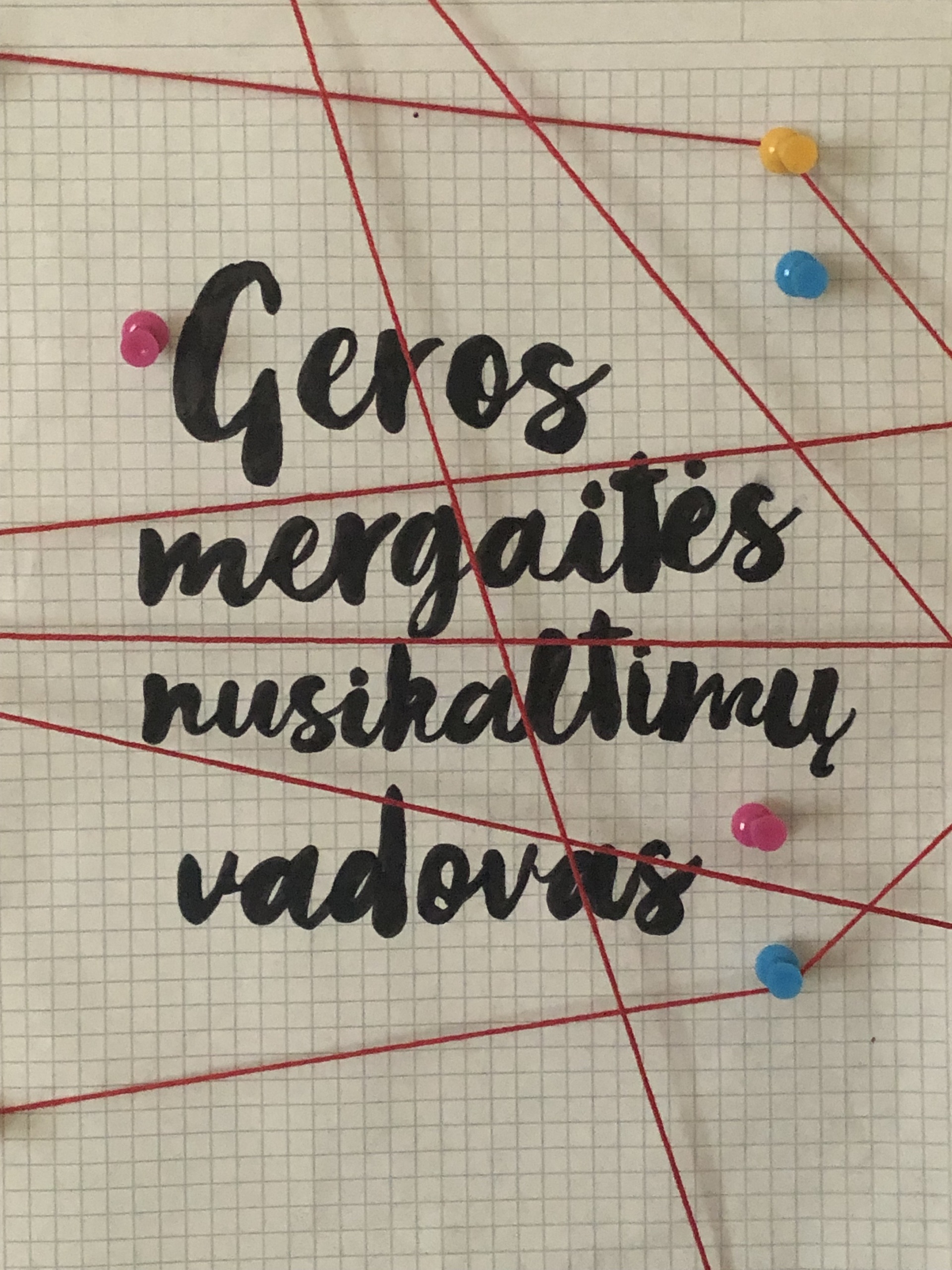 Skaitymo populiarinimo projektas „(Ne)spręsk apie knygą iš viršelio“ (Foto: mokiniai)
